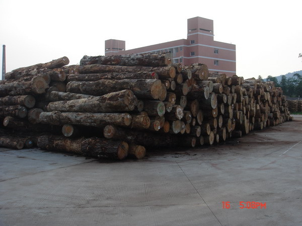 Dԭľ^(q) c(din)ɷŴ