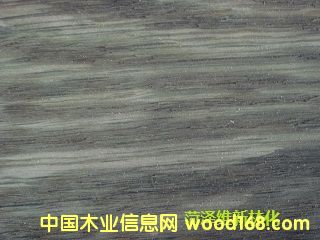 Dľذf̎턩 c(din)ɷŴ