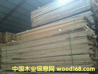 D,ľ,ľ,ľ,ľ,ľ,ˮ cɷŴ