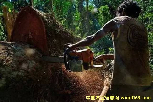 DϢW28ՈýQЇ¸AӲjL|ρϡľĵķǷQףlξoYYǖ|ρҵȻYԴ޴ı cɷŴ