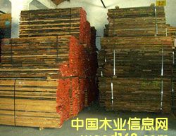 Beech Wɽë MڰľԔB