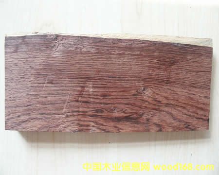 ޼tľt֦uľϧľĵԔB