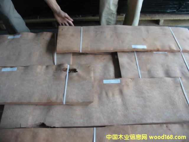 c鿴Madona burlŴDƬ