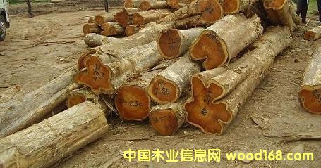 c鿴ľԭľteakҾ߲ķŴDƬ