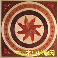 c鿴NSF-F6-Hua007ŴDƬ