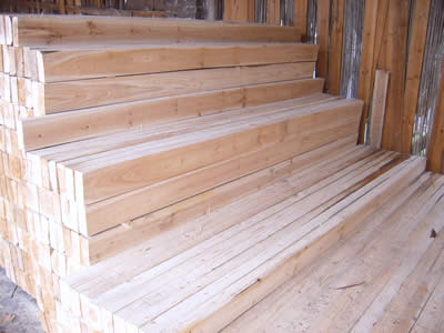 ľɼľsľľƷԔB