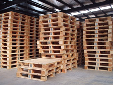 zϰбP|}؛P塢zϰбP