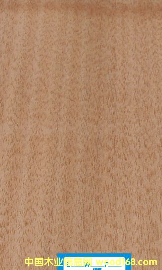 (yu)|(zh)ľƤtҵԔ(x)B