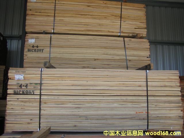ɽhickoryԔB