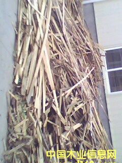 ľмľľмľƤľƬԔB