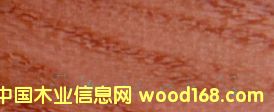 c鿴rosewood̫ƽtľŴDƬ