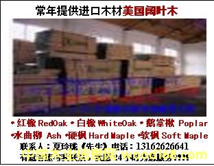 t𣬰ܛӲZ鱣ˮɽңľ