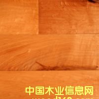 c(din)鿴laminate flooring5ŴDƬ
