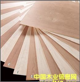 hzϰ壨A壩ͭhľ壨о壩