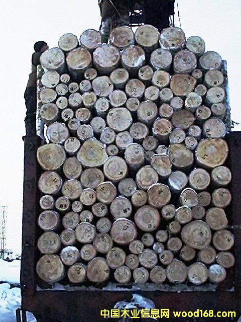 c鿴_˹aԭľ(̩ľI)ŴDƬ