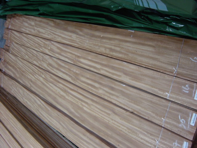 c(din)鿴TIMBRONAŴDƬ