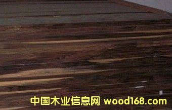 c鿴ӡ̴sonokelingŴDƬ