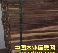 c鿴ӡ̴sonokelingŴDƬ