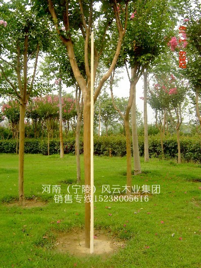 һƷ--ȫSƤ̫OUʮUϞUL4.0