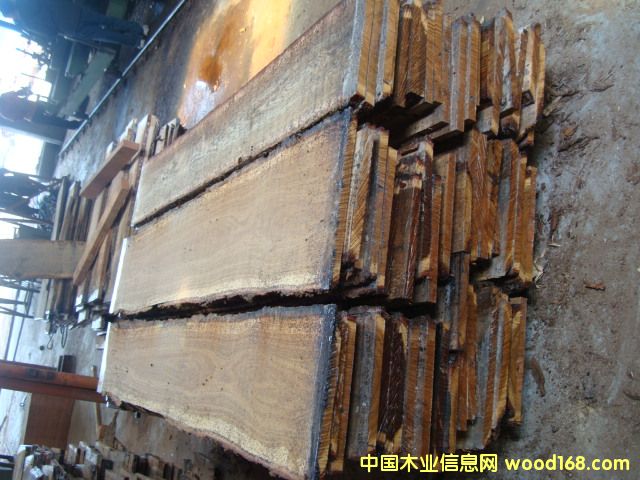 c(din)鿴ȻLľķŴDƬ