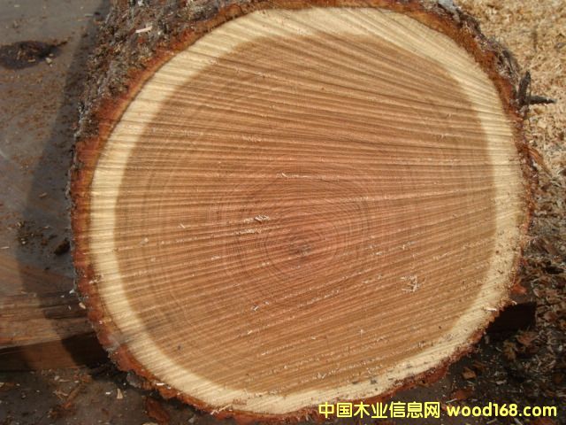 c(din)鿴Wԭľ2ŴDƬ