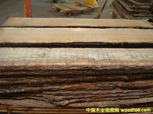 c(din)鿴ȻLľ2ŴDƬ