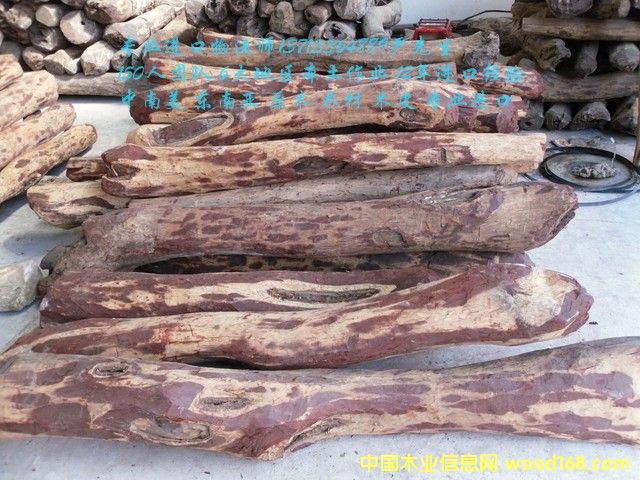 ̫}(cng)M(jn)R_(d)˹S̴/Fľ/̴M(jn)ڈ(bo)P(gun)