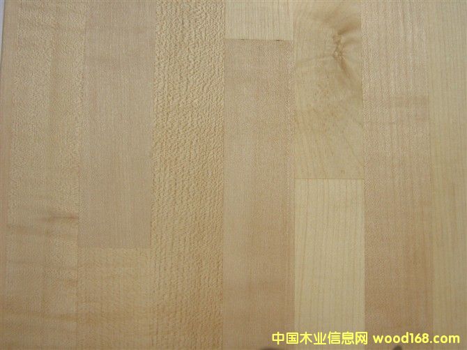 ��ľMaple��Eur.��