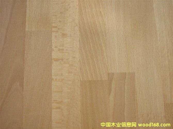 ľBBeech character