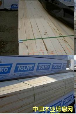 SPFɣtѩɣFɼɣȵȵԔB