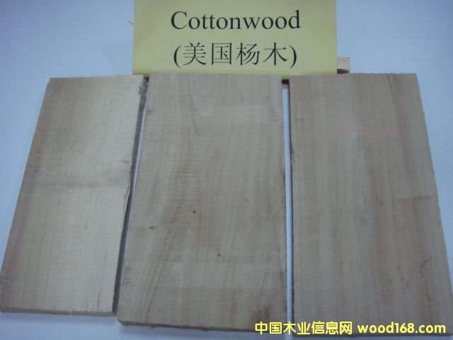 ľCottonwoodԔB