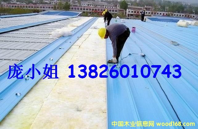 ȫޣᲣް 50MM Ԕ(x)B