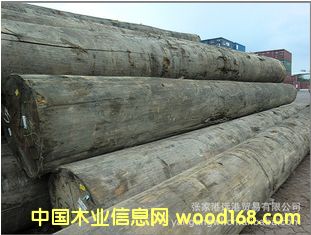 Ƭ ɽԭľ  ľ (KAPA / KPXX)