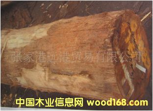 (yng)uǳɽ Ӳľԭľ ALH