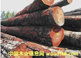 (yng)刺 ڂԭľ ľ DIL /DL