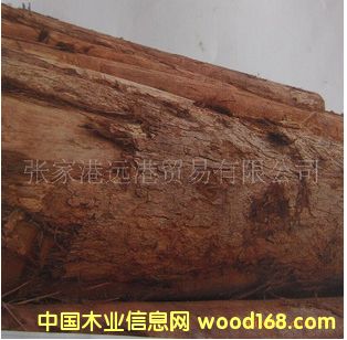 (yng)˹ľ |ԭľ ľ aERI/BIN