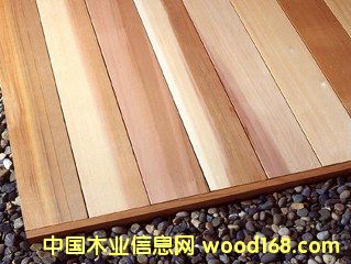 ⽨Įa(chn)Ʒ--҃(ni)