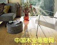 Ϗͺϵذ ͺϵذ ľذԔB