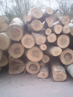 NҎľľ ľl ľƬ ΰԔB