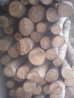 NҎľľ ľl ľƬ ΰԔB