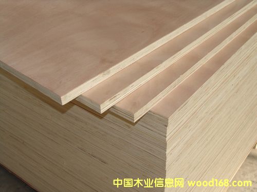 c鿴Ҿ߼zϰ壬Ҿ߰ŴDƬ