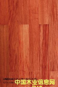 LinguaӡỨ1ƴtľɫԔB