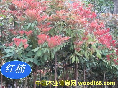 [] ľN磨}骡E骡С~骡骡ٻ骡t骣