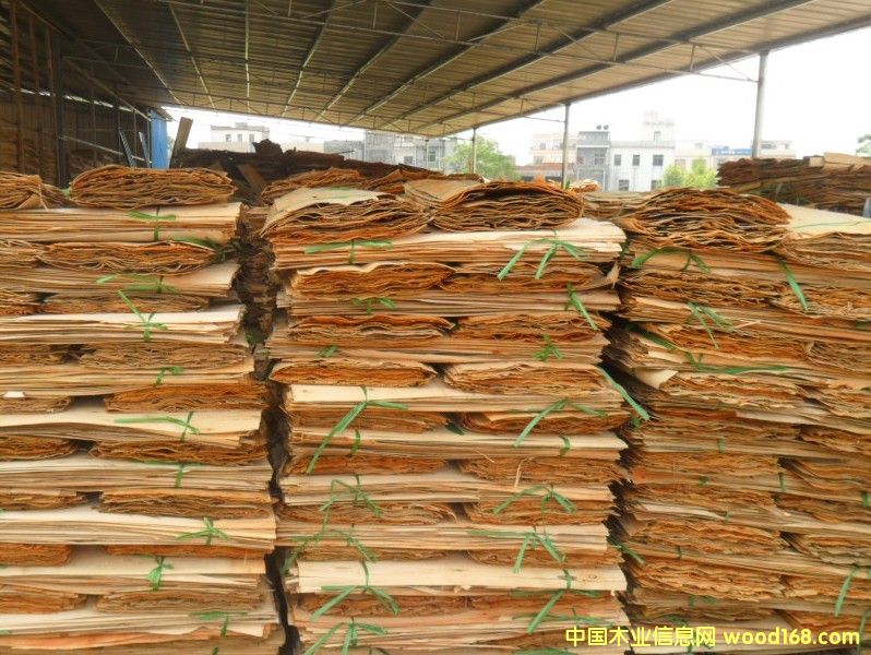 ��ľ�ΰ����