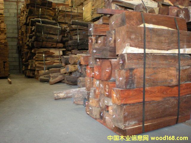 微凹黃檀的詳細(xì)介紹