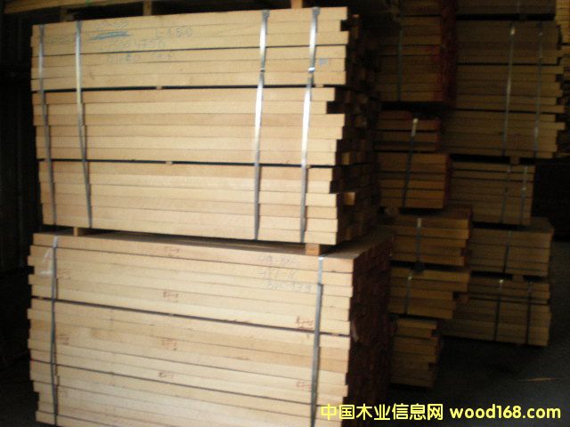 櫸木的詳細(xì)介紹