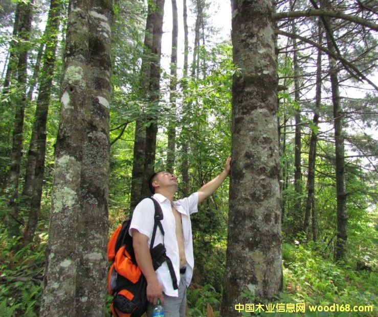 ĴʡVԪɘ(sh)ˮ11000(sh)D(zhun)׌Ԕ(x)B