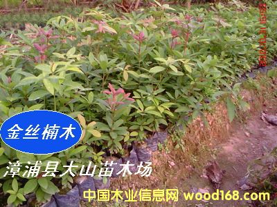 [] ľN磨}骡E骡С~骡骡ٻ骡t骣