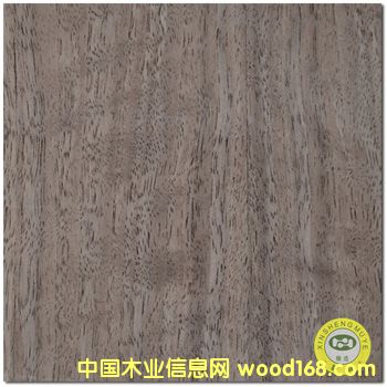 VʢȻӰֱyںľƤzϰԔB