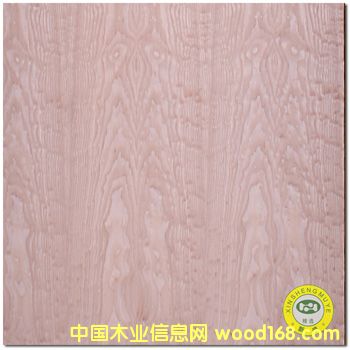 VʢȻľ/ˮyԭľľƤ-N